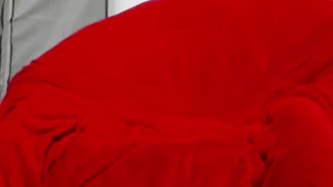 neccesitysexxxxx online show from June 1, 7:48 pm