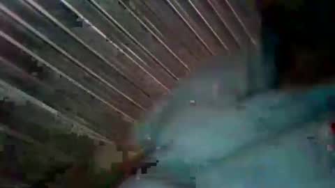 neerajjoy online show from October 22, 2:48 am