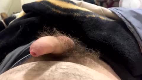 nesquick741960 online show from February 23, 12:18 pm