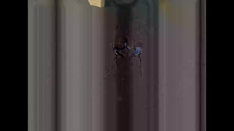 nice_cock01 online show from September 30, 5:23 pm