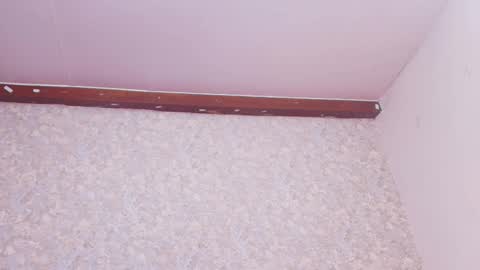 Nicol online show from March 10, 7:50 pm