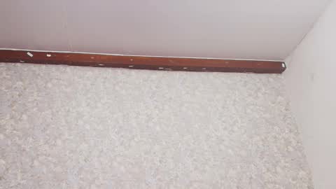 Nicol online show from March 3, 7:17 pm