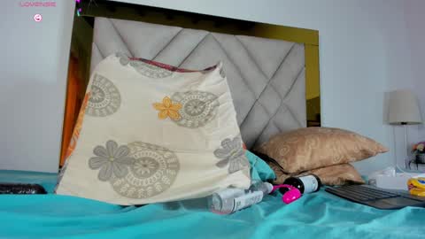 Snapshot of nicole_grace0 chatting on February 8, 3:10 pm nicole_grace0 online show from February 8, 3:10 pm