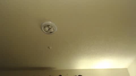 Nikki Mastersgirl1091 online show from September 11, 2:24 am