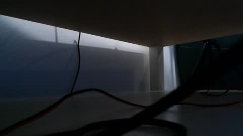 Nina online show from January 22, 7:25 am