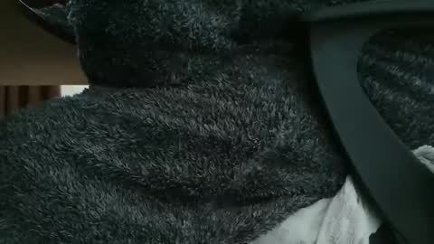 nineinchhard online show from November 6, 10:29 am