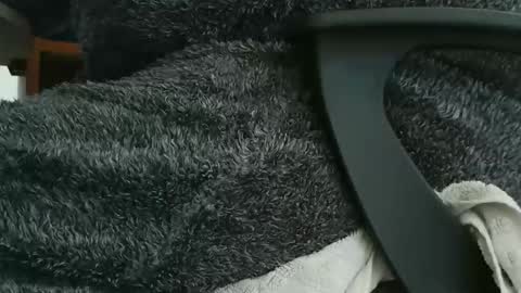 nineinchhard online show from September 23, 9:58 am