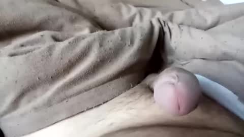 shyboi online show from March 10, 7:00 am