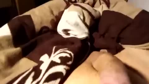 shyboi online show from February 22, 4:51 am