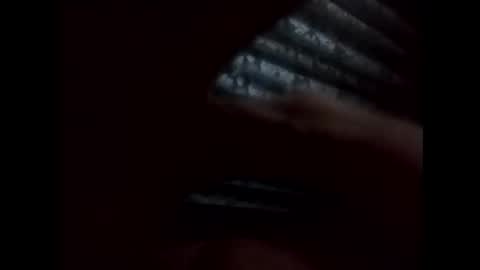 nl02020202 online show from November 3, 11:00 am