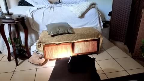 nobudget06 online show from February 16, 4:42 pm