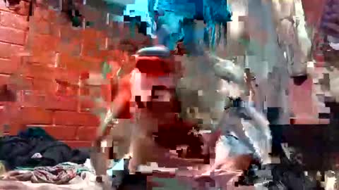 nocturnus1980 online show from November 29, 2:08 am