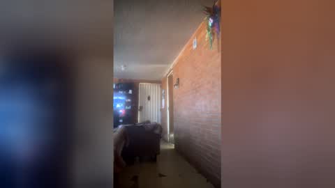 noecervantes232834905 online show from April 29, 11:09 pm