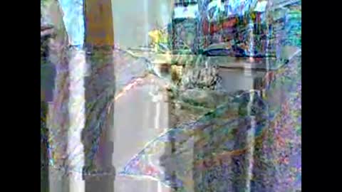 NIRX online show from March 1, 3:49 pm