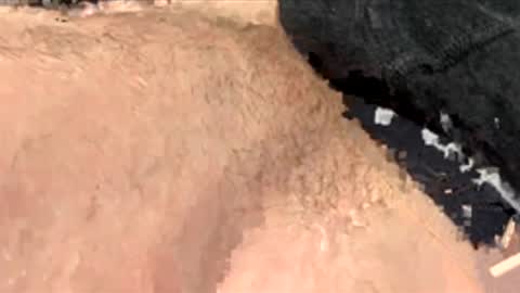 northernpleasure44 online show from January 13, 5:48 am