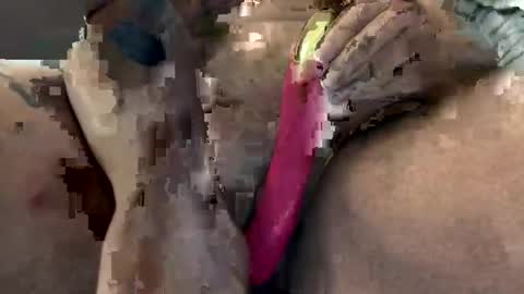 npf82405 online show from March 3, 11:34 pm