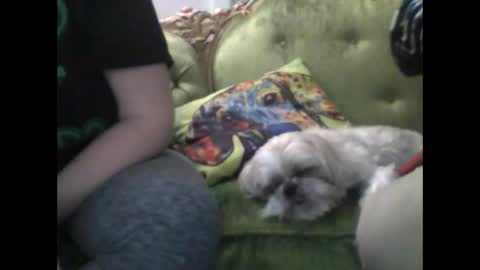 Nate online show from December 29, 12:52 am