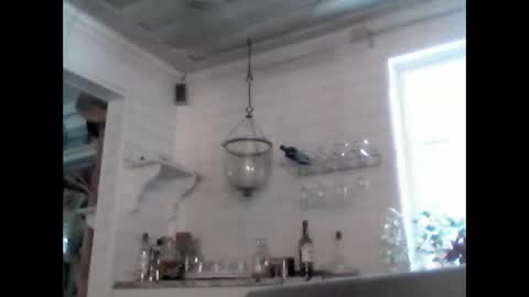 Haky online show from January 13, 12:46 pm