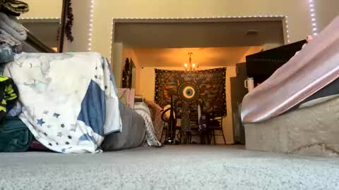 ogtripmushem online show from November 6, 5:27 pm