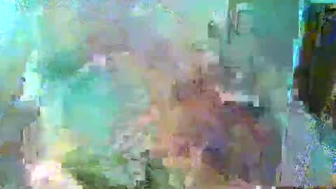 William online show from September 12, 7:32 am