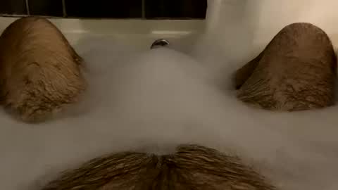 oldbones2 online show from February 16, 2:20 am