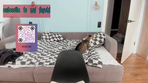 oliverrgroove online show from February 17, 4:39 pm