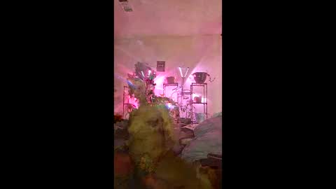 onfleektigress online show from May 3, 11:33 pm