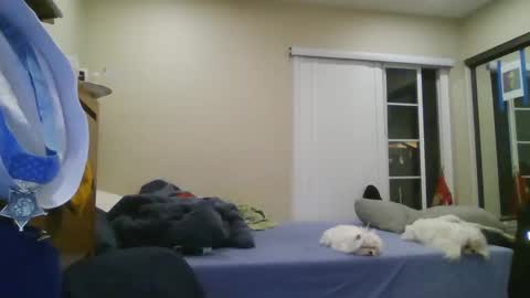 Snapshot of oorah1775 chatting on December 22, 5:11 am oorah1775 online show from December 22, 5:11 am