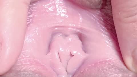 orchidekitty online show from April 1, 9:12 pm