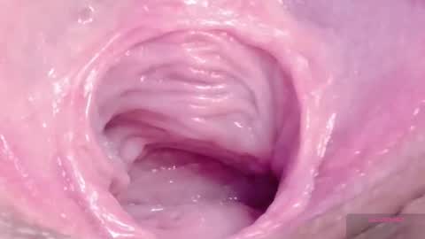 orchidekitty online show from March 8, 10:03 pm