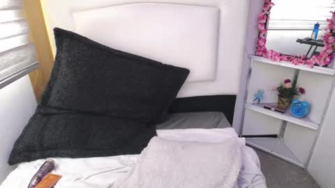 Palmer online show from January 8, 6:20 pm