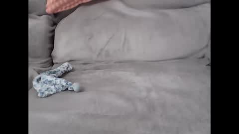 pal online show from February 27, 8:29 am