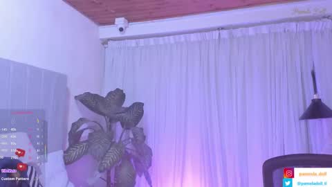 Snapshot of pamela_doll3 chatting on February 23, 5:01 am pamela online show from February 23, 5:01 am