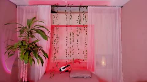  P A M  online show from March 25, 4:08 am