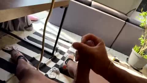 Alone online show from November 7, 7:05 pm