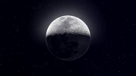 Paris online show from December 5, 9:45 pm