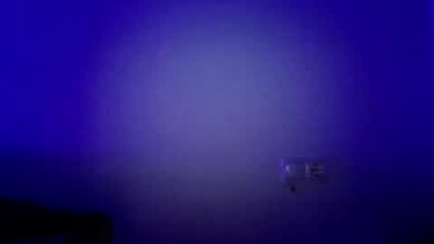 Snapshot of paw8686 chatting on September 11, 4:47 am paw8686 online show from September 11, 4:47 am