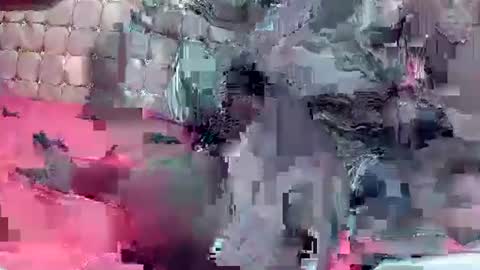 Coco channel  online show from December 22, 8:49 am