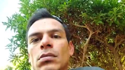 pcasa123456 online show from March 15, 9:40 pm