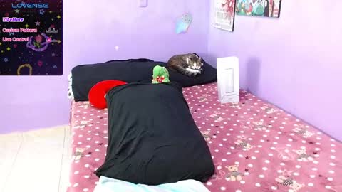 Eros online show from January 29, 10:43 pm