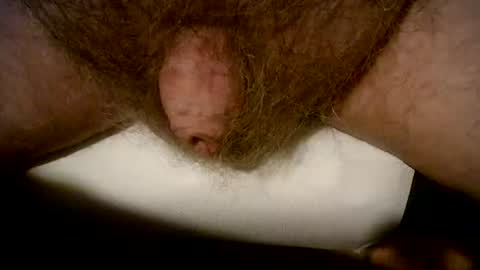 peterpeteropoulos online show from March 12, 7:47 pm