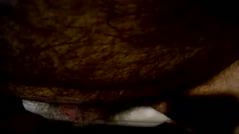 peterpeteropoulos online show from November 17, 8:00 pm