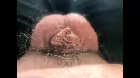 petrol63102 online show from March 3, 2:24 pm