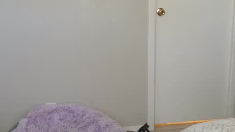 Destiny Adams online show from February 5, 4:43 pm