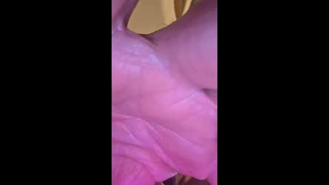 philllllll508346 online show from March 22, 3:38 pm