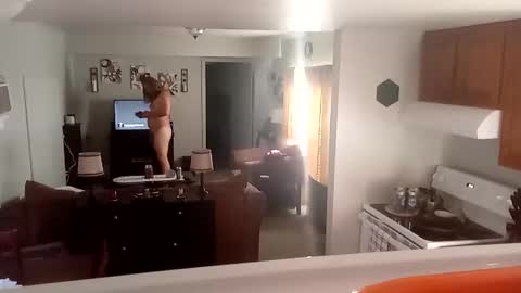 Phinfan online show from February 23, 8:44 pm