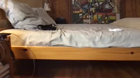 pierrohhh online show from November 4, 9:49 pm