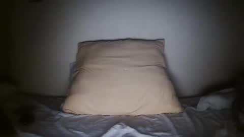 Snapshot of pieslatinos chatting on January 31, 4:14 am pieslatinos online show from January 31, 4:14 am