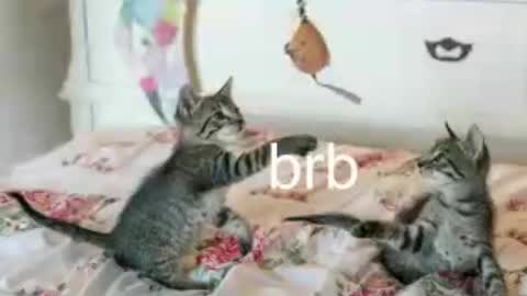 Kitty online show from June 25, 1:35 am