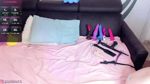 Snapshot of pinkslobber chatting on December 4, 7:55 am Helen Goat online show from December 4, 7:55 am